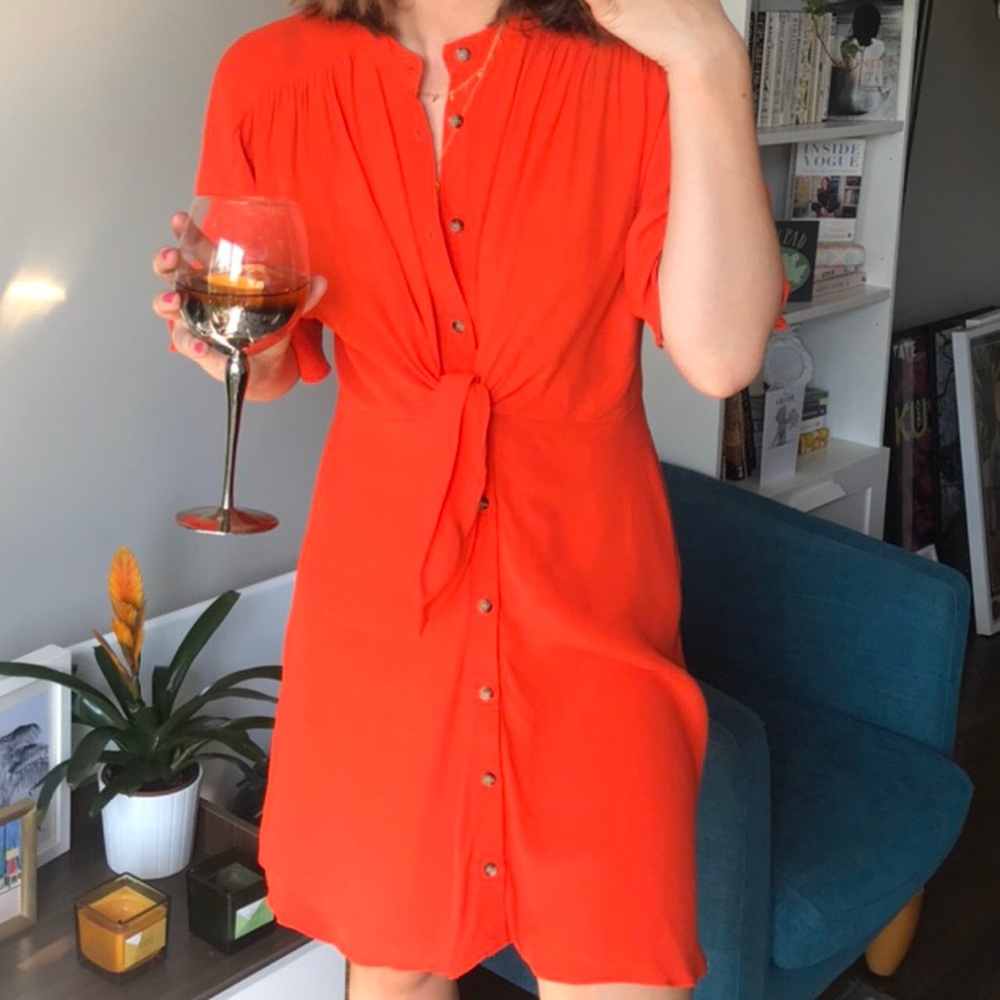 Zara Tie Front Button Down Dress